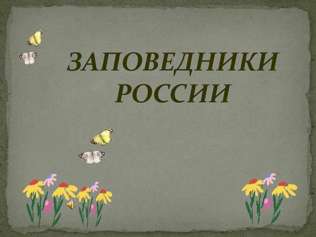 thumbnail of Скоропупова-Н.К._Кл.-час-Заповедники_2-а-кл.